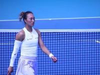 爱游戏在线登录-冠军之争！世界级运动员蓄势待发