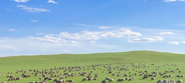 爱游戏官网网页版入口-包含十百年初，东南林河水如茵，看球队独步扬鞭徙彎的词条