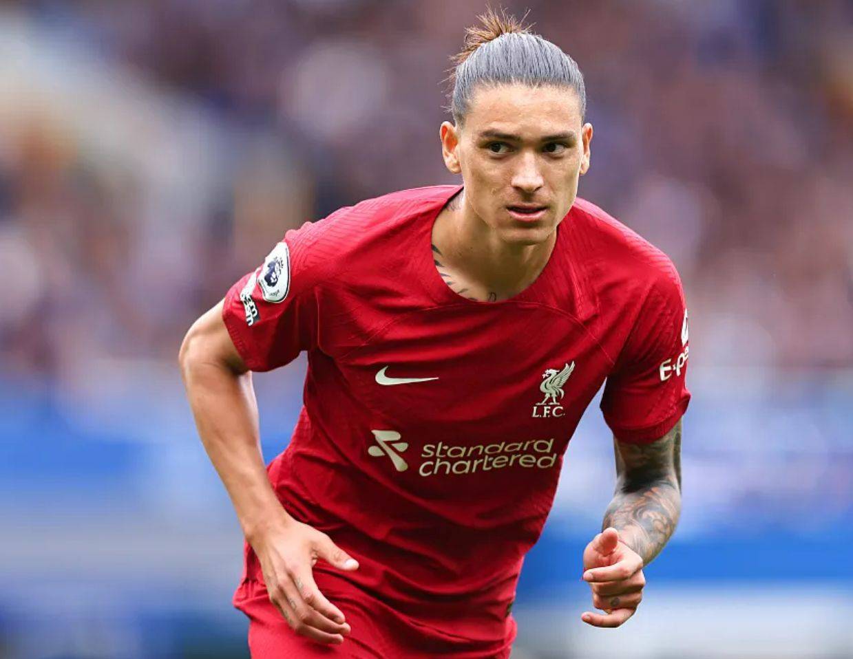 关于马德里竞技大胜菲尔米诺梅开二度的信息