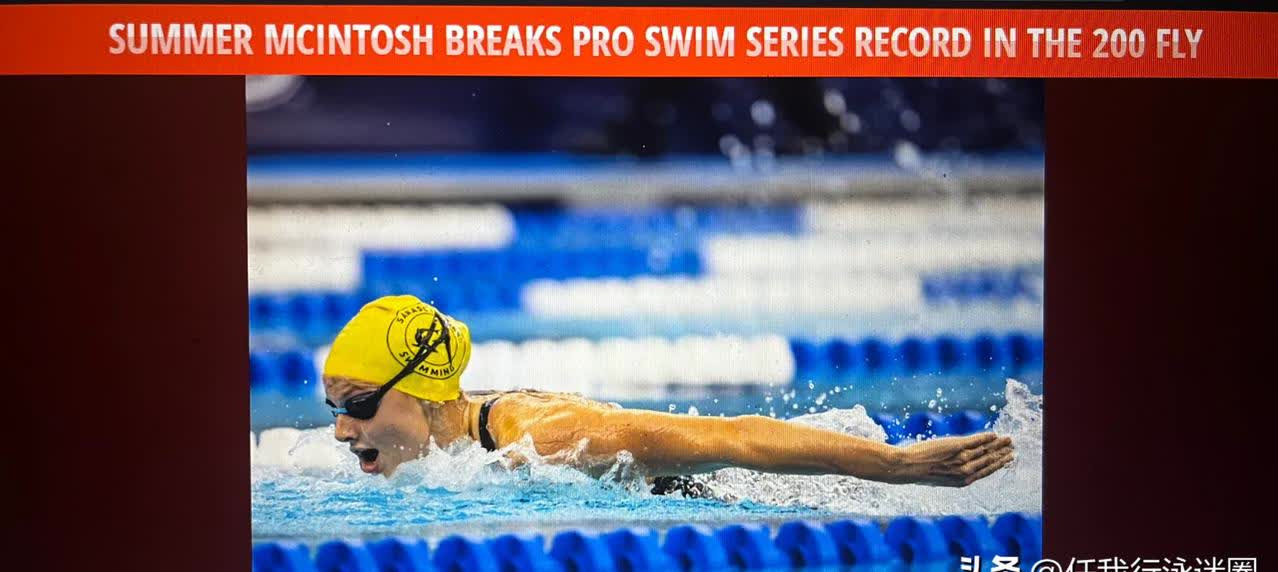 比利时游泳选手刷新自己纪录 比利时游泳选手刷新自己纪录